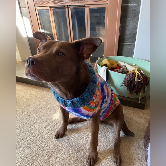 Large dog fleece sweaters - Picture 1 of 5